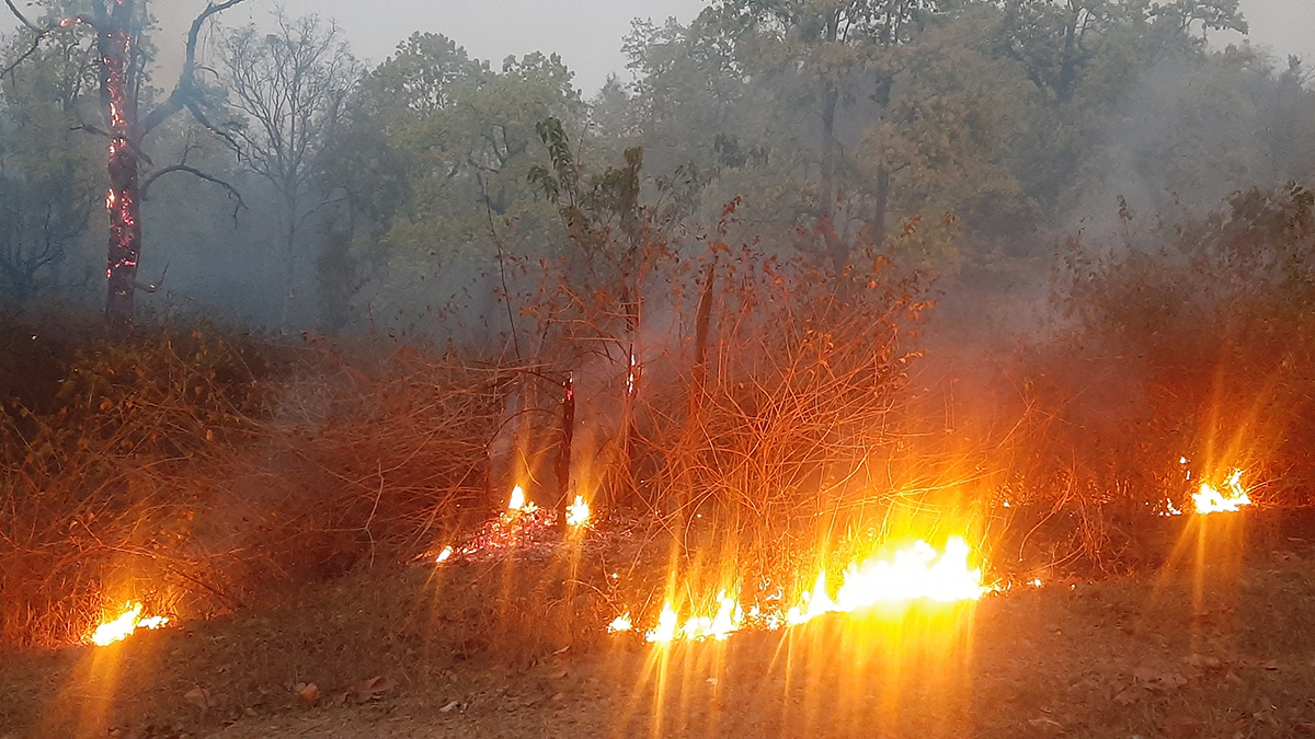 डढेलोले वन सखाप, स्वास्थ्यमा खराब